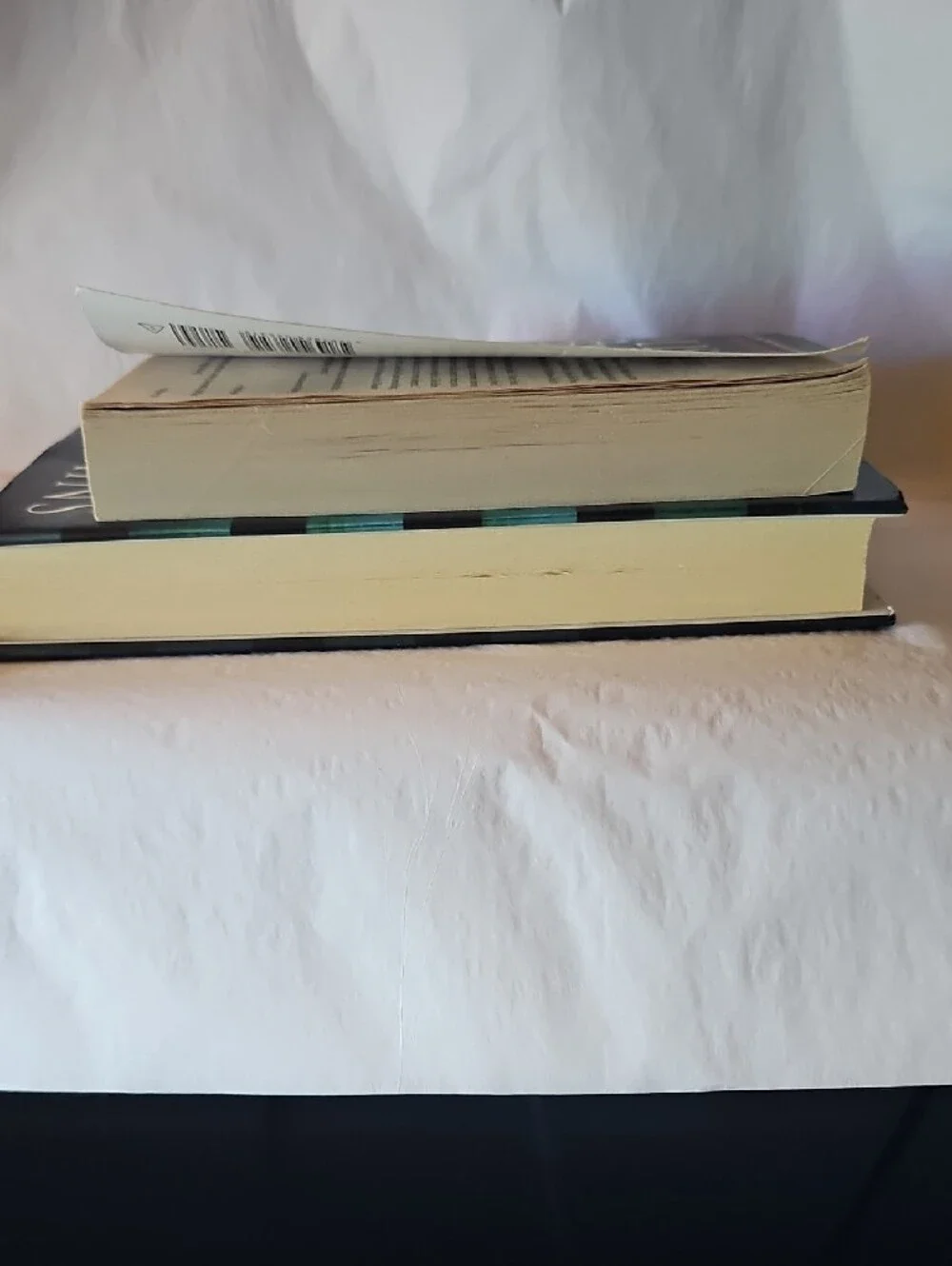 The Family Upstairs And The Family Remains Book Bundle